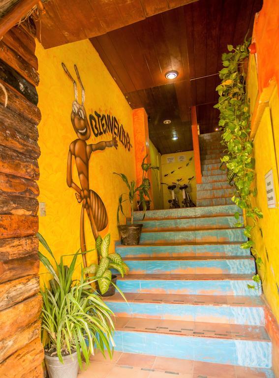 Hotel El Hormiguero Playa del Carmen Exterior photo